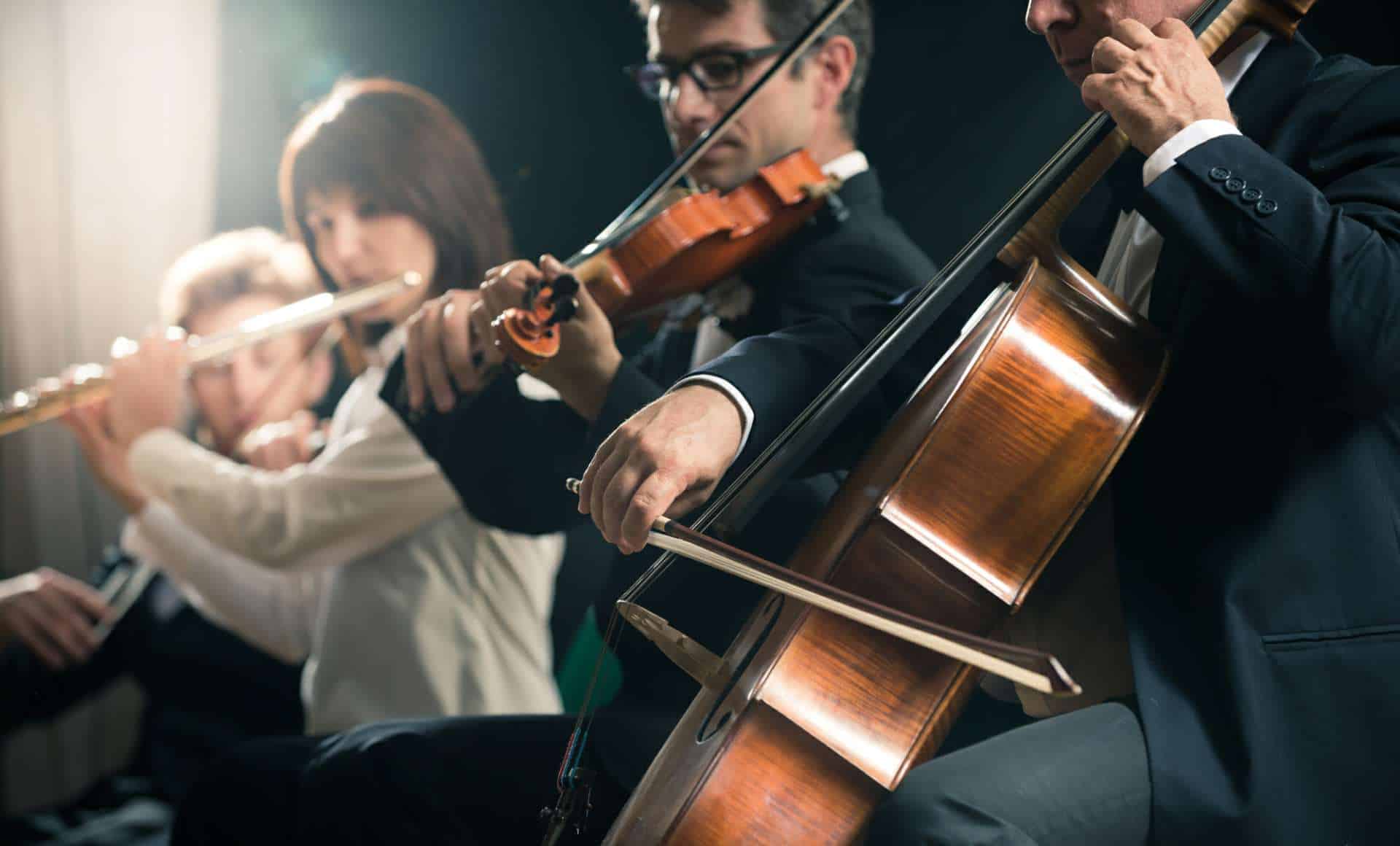 New York Violin Consulting Violin Appraisal Violin Repairs